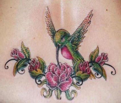 Rose And Hummingbird Pic Tattoo On Back